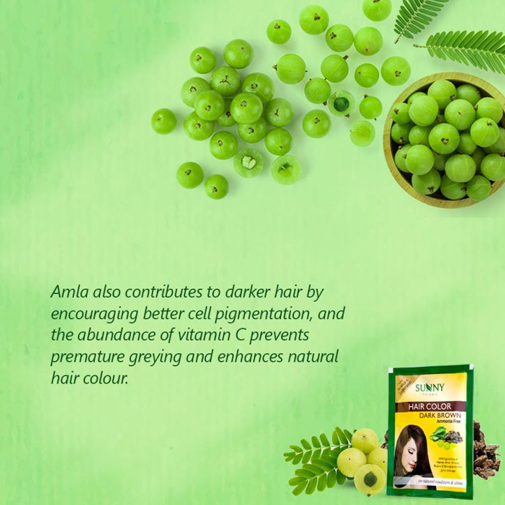 Sunny Herbals Hair Color Dark Brown (10gm)